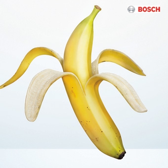 Bosch> Norimichi Inoguchi
